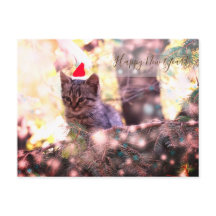 Happy New Year Briefkaart Kitten