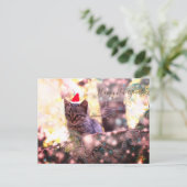 Happy New Year Briefkaart Kitten (Staand voorkant)