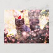 Happy New Year Briefkaart Kitten (Voorkant)