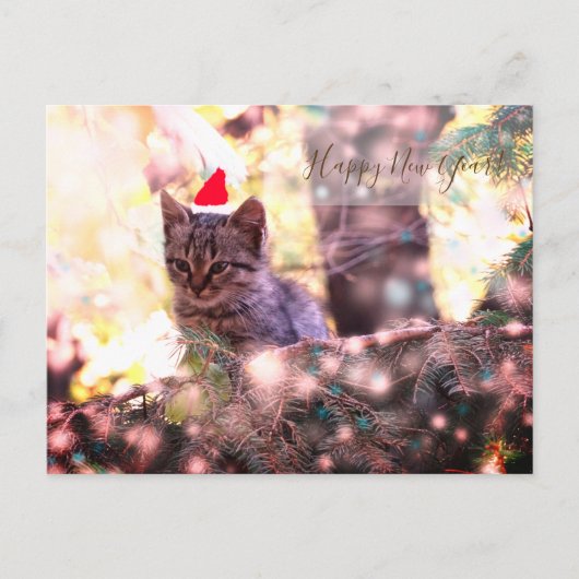 Happy New Year Briefkaart Kitten (Voorkant)