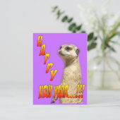 Happy New Year Meerkat Briefkaart (Staand voorkant)