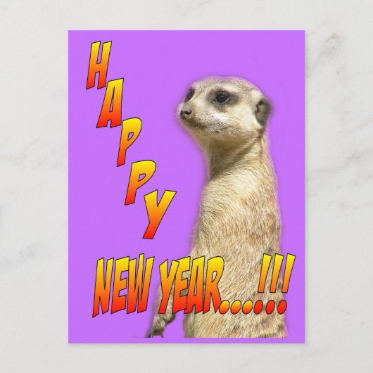 Happy New Year Meerkat Briefkaart (Voorkant)