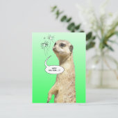 Happy New Year Meerkat Briefkaart Fireworks Green (Staand voorkant)