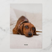 Happy New Year Script Two Photo Black Folie Feestdagenkaart (Achterkant)