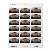 Happy New Year Simple Script Modern Photo Address Etiket (Full Sheet)