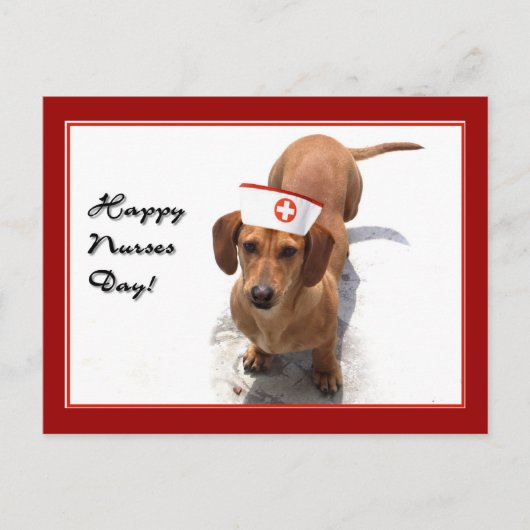 Happy Nurses Day Dachshund briefkaart (Voorkant)