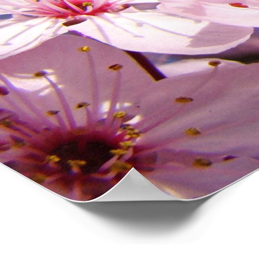 Happy Nurses Week poster Dedication Nursing (Hoek)