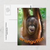 Happy Orangutan Briefkaart (Voorkant / Achterkant)