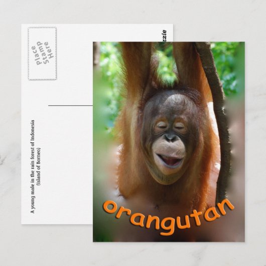 Happy Orangutan Briefkaart (Voorkant / Achterkant)