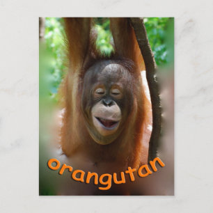 Happy Orangutan Briefkaart
