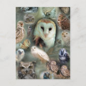 Happy Owls Briefkaart (Voorkant)