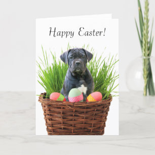 Happy Paascane Corso-wenskaart Feestdagen Kaart