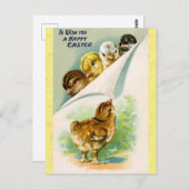  Happy Paaskoepels Briefkaart (Voorkant / Achterkant)