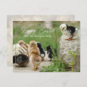 Happy Paast Cute Baby Chicken Parade Briefkaart (Voorkant / Achterkant)