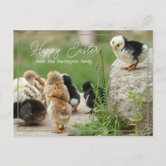 Happy Paast Cute Baby Chicken Parade Briefkaart (Voorkant)
