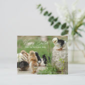 Happy Paast Cute Baby Chicken Parade Briefkaart (Staand voorkant)