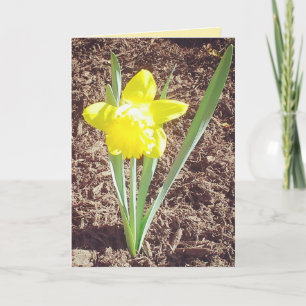 Happy Paast Daffodil-kaart Feestdagen Kaart