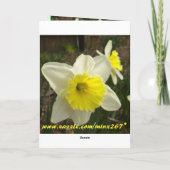 Happy Paast Daffodils Kaart (Achterkant)