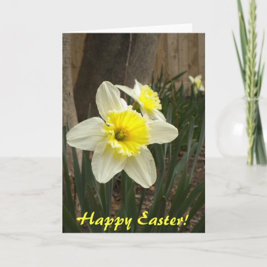 Happy Paast Daffodils Kaart (Voorkant)
