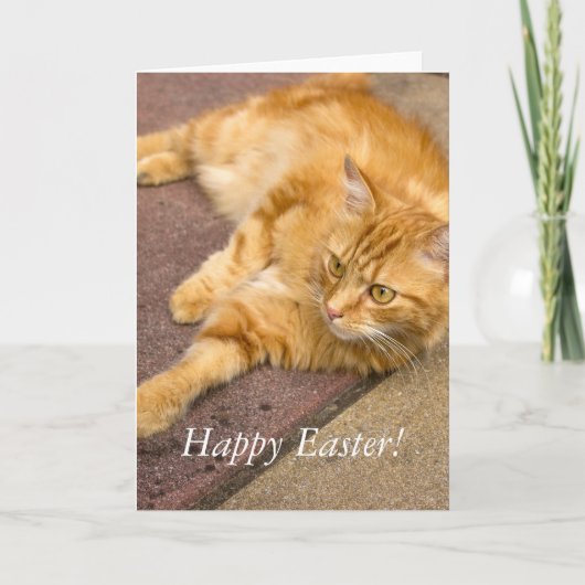 Happy Paast Ginger Cat Holiday Card Feestdagen Kaart (Voorkant)