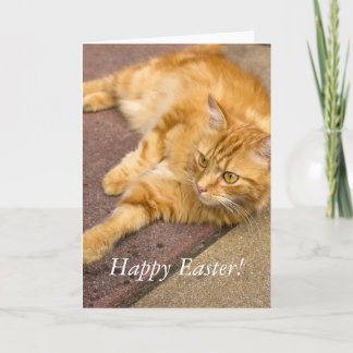Happy Paast Ginger Cat Holiday Card Feestdagen Kaart