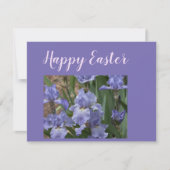 Happy Paast Holiday Greep (Voorkant)