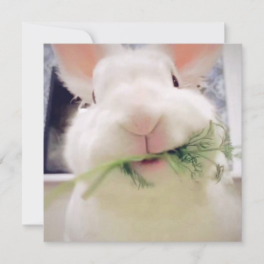 Happy Paast Holiday-kaart Feestdagenkaart (Voorkant)