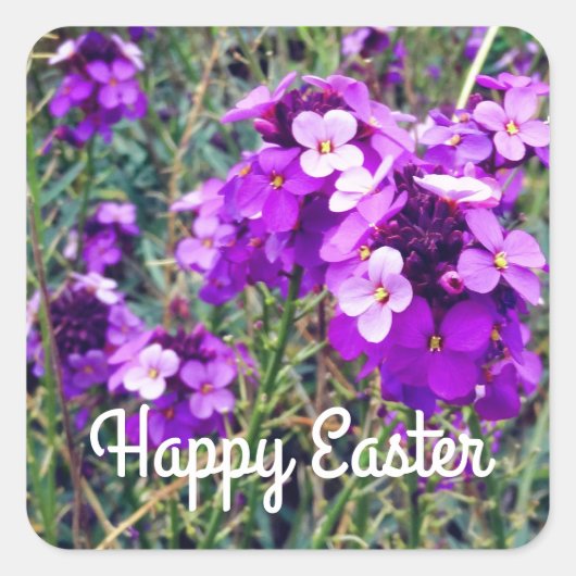 Happy Paast Wallflower Bowles Mauve #1 Stickers (Voorkant)