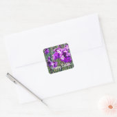 Happy Paast Wallflower Bowles Mauve #1 Stickers (Envelop)