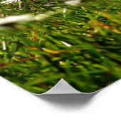 Happy Paaster Cute Bunny met Colorful Easter Poster (Hoek)