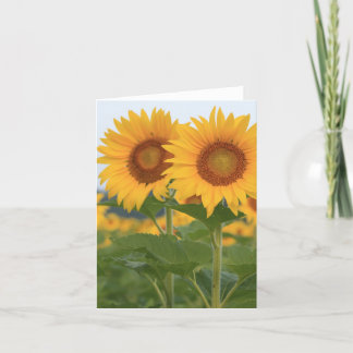 Happy Pair van Zonnebloemen Note Kaart