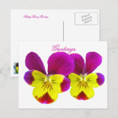 Happy Pansy Greetings Briefkaart (Voorkant / Achterkant)