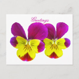 Happy Pansy Greetings Briefkaart