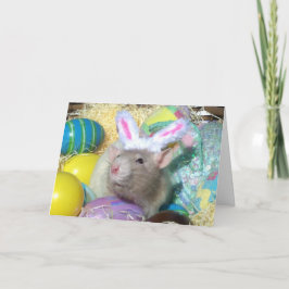 Happy Paskaart Feestdagen Kaart
