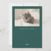 Happy Pawholidays Fun Stars Kattenfoto Feestdagenkaart (Achterkant)