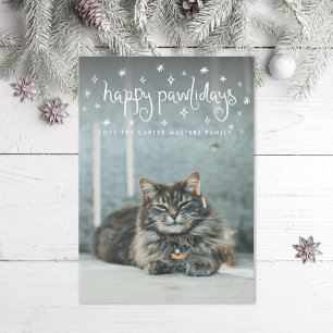 Happy Pawholidays Fun Stars Kattenfoto Feestdagenkaart