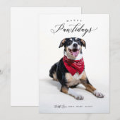 Happy Pawholidays Script Huisdier Kerstkaart (Voorkant / Achterkant)