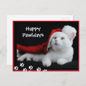 Happy Pawidays, Cat, Art Briefkaart (Voorkant / Achterkant)