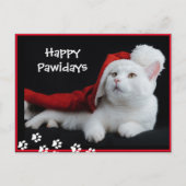 Happy Pawidays, Cat, Art Briefkaart (Voorkant)