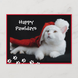 Happy Pawidays, Cat, Art Briefkaart
