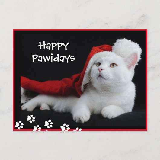 Happy Pawidays, Cat, Art Briefkaart (Voorkant)