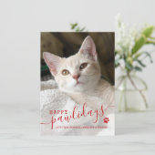 Happy Pawlidays Cat Pet Feestdagenkaart (Staand voorkant)