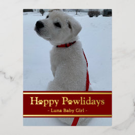 Happy Pawlidays Folie Feestdagen Briefkaart