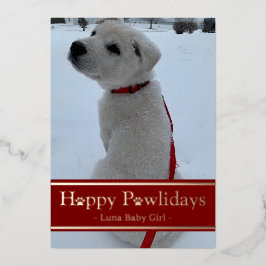 Happy Pawlidays Folie Feestdagenkaart