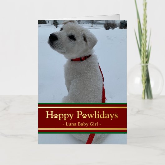 Happy Pawlidays Folie Feestdagenkaart (Voorkant)
