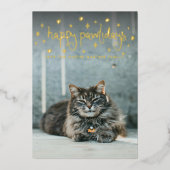 Happy Pawlidays Fun Stars Cat Photo Folie Feestdagenkaart (Voorkant)