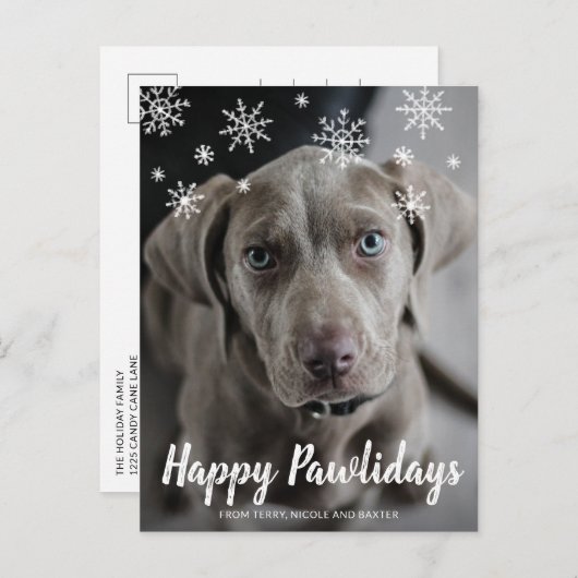 Happy Pawlidays Snowflakes Dog Feestdagenkaart (Voorkant / Achterkant)