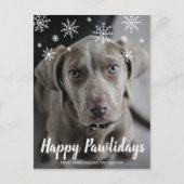 Happy Pawlidays Snowflakes Dog Feestdagenkaart (Voorkant)