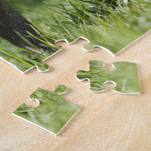 Happy Pet Mini Pig Legpuzzel (Zijkant)