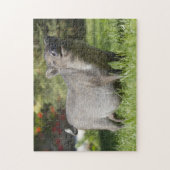 Happy Pet Mini Pig Legpuzzel (Verticaal)